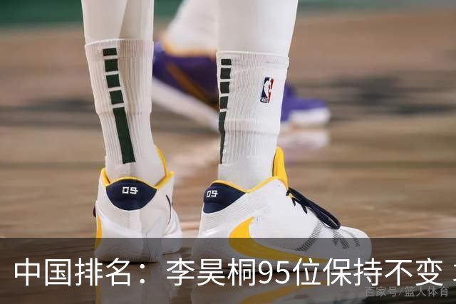 中国排名：李昊桐95位保持不变 袁也淳金子豪上升
