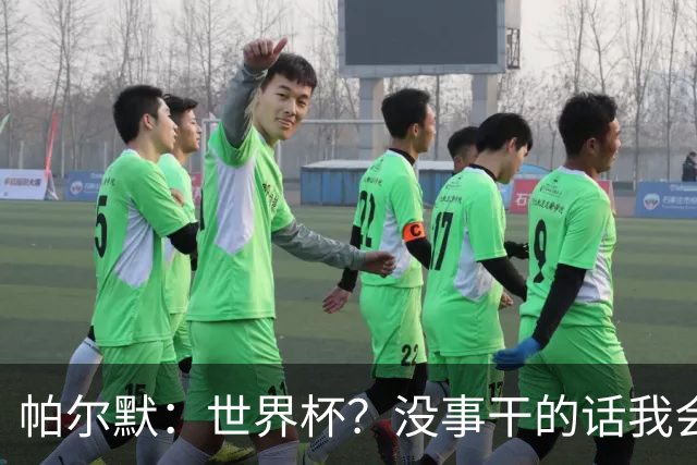 帕尔默：世界杯？没事干的话我会看看，我希望他们能走到最后