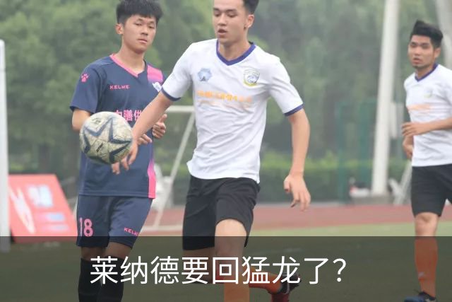 莱纳德要回猛龙了？
